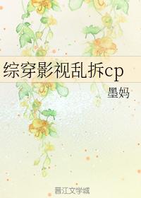 综穿影视乱拆cp